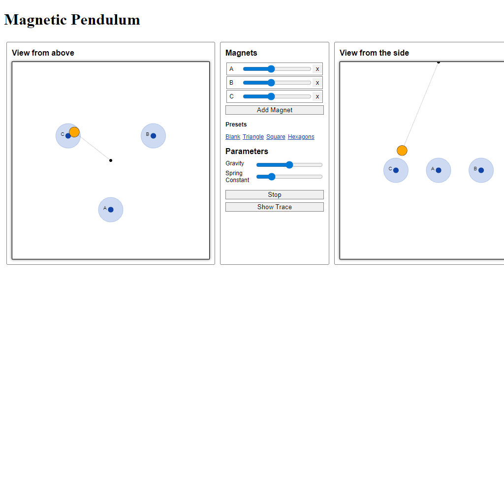 Magnetic Pendulum